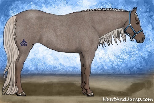 Horse Color:Silver Blue Roan 