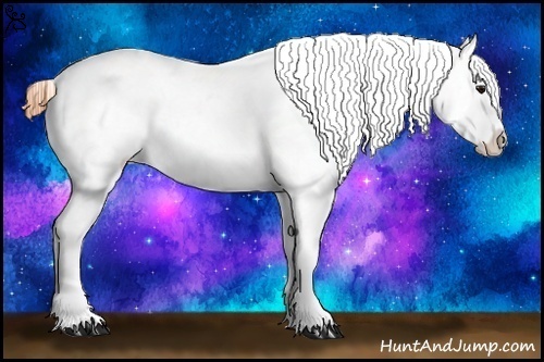 Horse Color:Buckskin Roan Splash Appaloosa