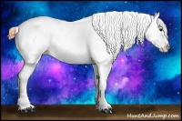 Horse Color:Buckskin Roan Splash Appaloosa 