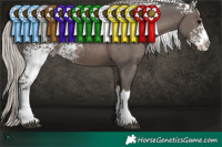 Horse Color:White Spotted Silver Black Splash 