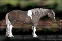 Horse Color:Silver Brown Tobiano