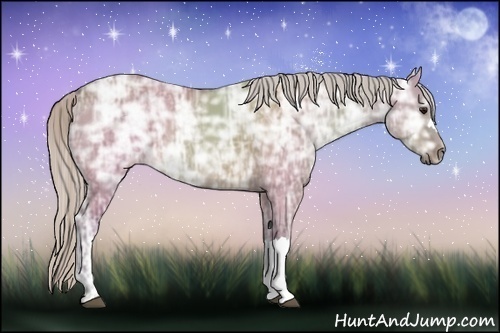 Horse Color:Silver Brown Ice Dun