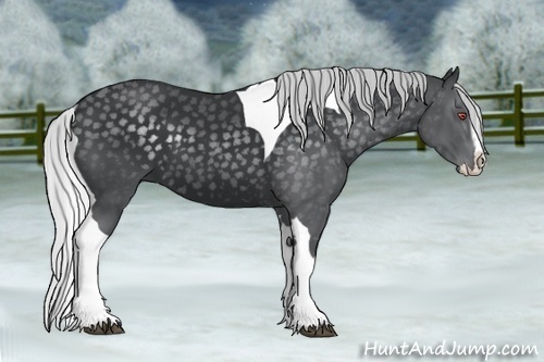 Horse Color:White Spotted Silver Black Chinchilla Splash Tobiano