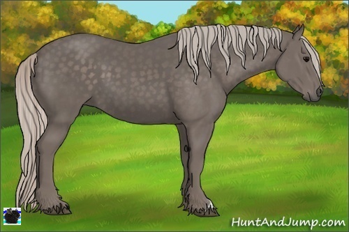 Horse Color:Silver Black 