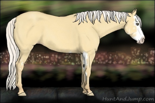 Horse Color:Silver Sable Cream Champagne Dun Splash Frame