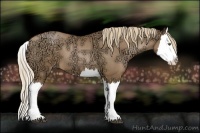 Horse Color:Liver Chestnut Ice Pearl Splash