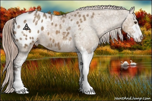 Horse Color:Liver Red Dun Ice Sabino Appaloosa 