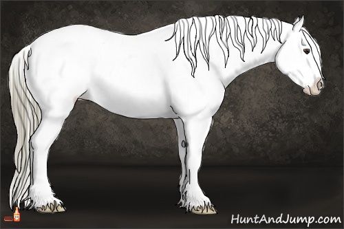 Horse Color:Liver Chestnut Sabino Appaloosa 