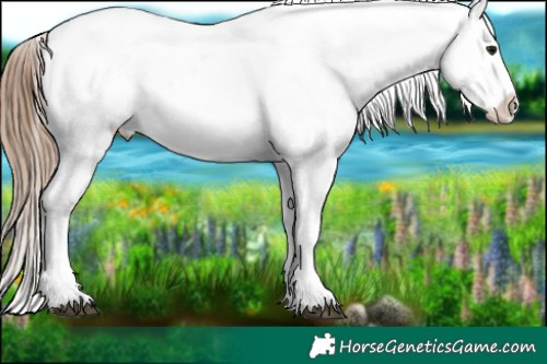 Horse Color:Black Ice Pearl Sabino Near Fewspot 