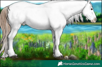 Horse Color:Black Ice Pearl Sabino Near Fewspot