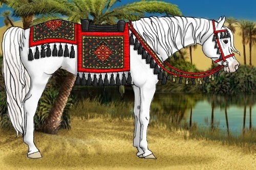 Horse Color:Silver Bay Roan Dun Splash Frame Appaloosa Rabicano 