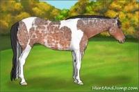 Horse Color:Bay Ice Tobiano 