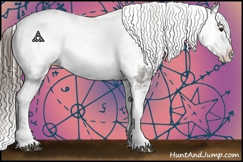 Horse Color:Liver Chestnut Sabino Appaloosa 