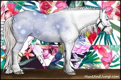 Horse Color:Chocolate Palomino Pearl Sabino Tobiano Frame Appaloosa 