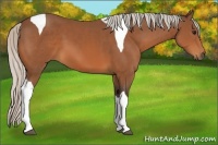 Horse Color:Silver Bay Tobiano 