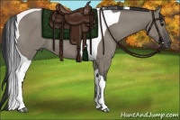 Horse Color:Grullo Tobiano