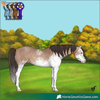 Horse Color:White Spotted Sable Champagne 