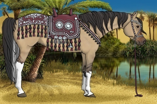 Horse Color:Bay Dun Tobiano