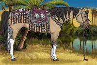 Horse Color:Bay Dun Tobiano 