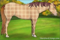 Horse Color:Plaid  Gold Champagne 