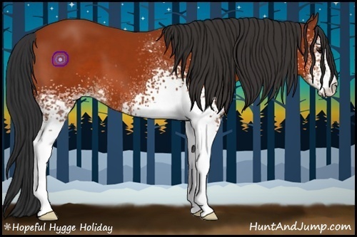 Horse Color:White Spotted Bay 