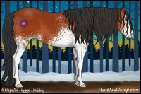 Horse Color:White Spotted Bay 