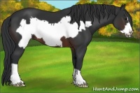 Horse Color:Brown Frame