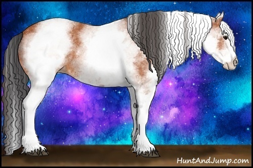 Horse Color:White Spotted Bay 