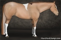 Horse Color:Bay Pearl Sabino Tobiano 