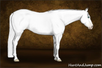 Horse Color:Gray White Spotted Smoky Black Pearl 