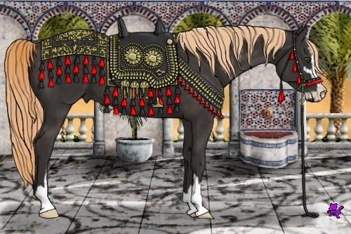 Horse Color:Liver Chestnut Sabino