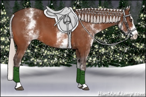 Horse Color:White Spotted Silver Bay Splash 