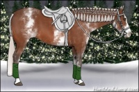 Horse Color:White Spotted Silver Bay Splash 