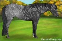 Horse Color:Black Ice 