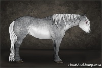 Horse Color:Silver Brown Chinchilla Sabino Rabicano  Brindle