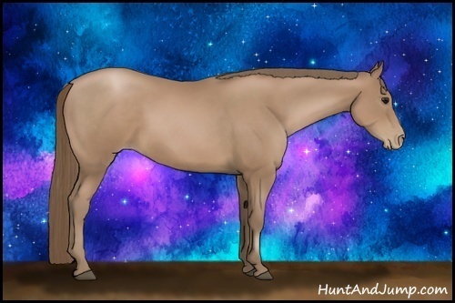 Horse Color:Black Pearl 