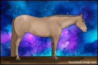 Horse Color:Black Pearl