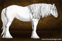Horse Color:Cremello Dun Splash Tobiano 