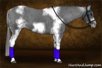 Horse Color:White Spotted Black Splash Tobiano Frame Varnish 