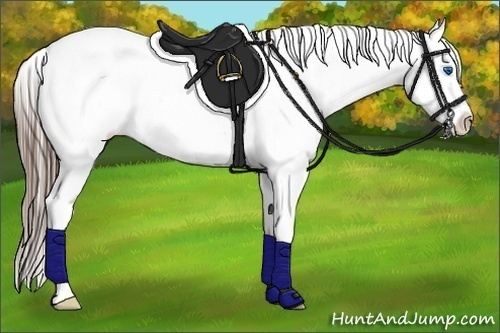 Horse Color:White Spotted Black Splash Tobiano Frame Blanket