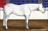 Horse Color:White Spotted Black Splash Tobiano Frame Blanket 