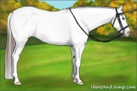 Horse Color:White Spotted Black Splash Tobiano Frame Varnish