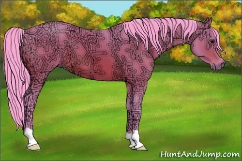 Horse Color:Watercolor Bay Ice 
