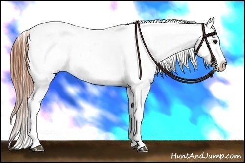 Horse Color:Bay Dun Sabino Tobiano Varnish 