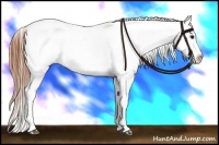 Horse Color:Bay Dun Sabino Tobiano Varnish