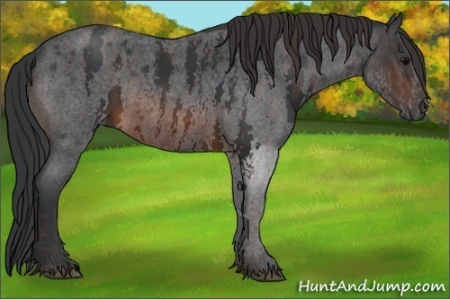 Horse Color:White Spotted Brown Roan Rabicano  Brindle
