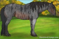 Horse Color:White Spotted Brown Roan Rabicano Brindle