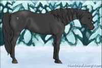 Horse Color:Smoky Black Rabicano