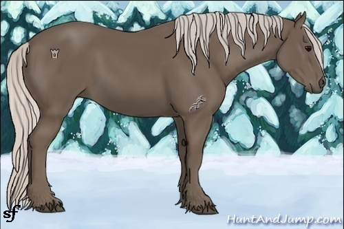 Horse Color:Silver Black 