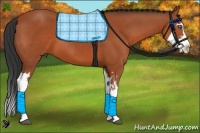 Horse Color:Bay Splash Frame